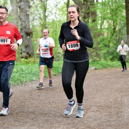 19.04.2026 - Hammer Lauf Dr. Thomas Lammeyer http://msf.ph/oto/9558128 19.04.2026 12:43:45 Laufen 991, 1568, 1899, 284 meine-sportfotos.de