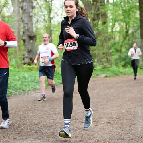 19.04.2026 - Hammer Lauf Dr. Thomas Lammeyer http://msf.ph/oto/9558129 19.04.2026 12:43:45 Laufen 154, 1899, 284 meine-sportfotos.de
