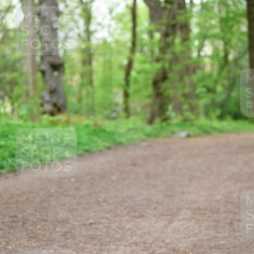 19.04.2026 - Hammer Lauf Dr. Thomas Lammeyer http://msf.ph/oto/9558209 19.04.2026 12:43:58 Laufen  meine-sportfotos.de