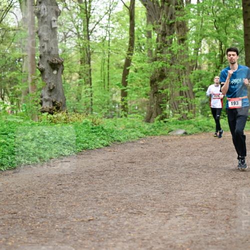 19.04.2026 - Hammer Lauf Dr. Thomas Lammeyer http://msf.ph/oto/9558218 19.04.2026 12:44:06 Laufen 1576, 193 meine-sportfotos.de