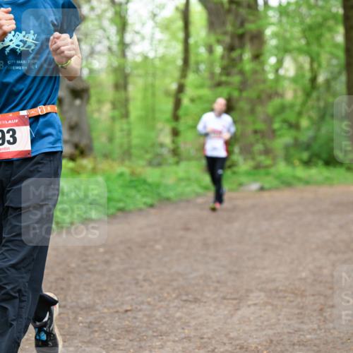 19.04.2026 - Hammer Lauf Dr. Thomas Lammeyer http://msf.ph/oto/9558234 19.04.2026 12:44:09 Laufen 193 meine-sportfotos.de