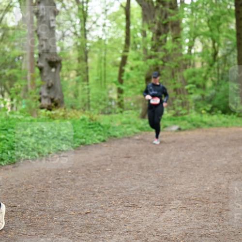 19.04.2026 - Hammer Lauf Dr. Thomas Lammeyer http://msf.ph/oto/9558293 19.04.2026 12:44:17 Laufen 682 meine-sportfotos.de