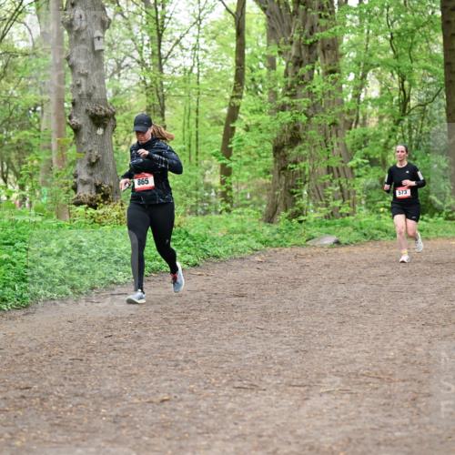 19.04.2026 - Hammer Lauf Dr. Thomas Lammeyer http://msf.ph/oto/9558298 19.04.2026 12:44:19 Laufen 865, 573 meine-sportfotos.de