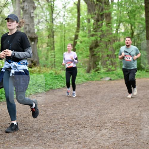 19.04.2026 - Hammer Lauf Dr. Thomas Lammeyer http://msf.ph/oto/9558346 19.04.2026 12:44:26 Laufen 842, 729 meine-sportfotos.de