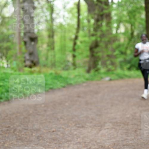19.04.2026 - Hammer Lauf Dr. Thomas Lammeyer http://msf.ph/oto/9558370 19.04.2026 12:44:29 Laufen  meine-sportfotos.de