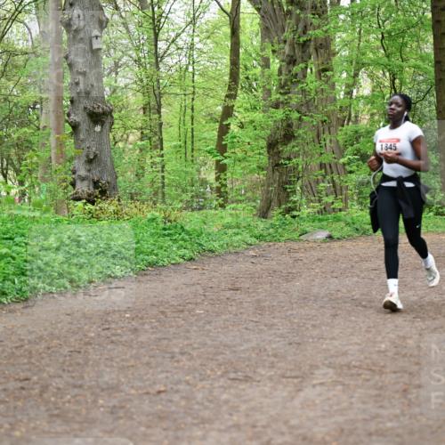 19.04.2026 - Hammer Lauf Dr. Thomas Lammeyer http://msf.ph/oto/9558371 19.04.2026 12:44:29 Laufen 1845 meine-sportfotos.de