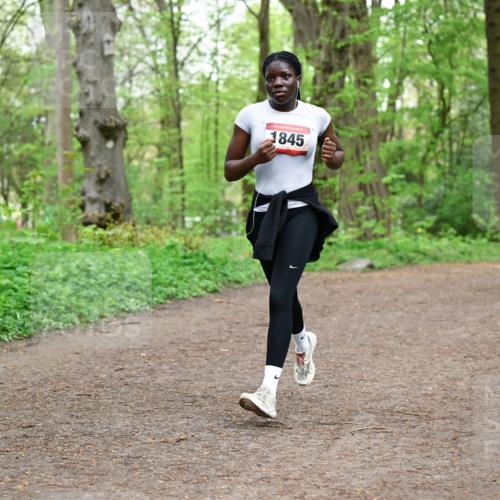 19.04.2026 - Hammer Lauf Dr. Thomas Lammeyer http://msf.ph/oto/9558377 19.04.2026 12:44:31 Laufen 1845 meine-sportfotos.de