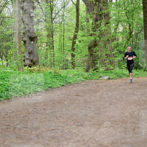 19.04.2026 - Hammer Lauf Dr. Thomas Lammeyer http://msf.ph/oto/9558394 19.04.2026 12:44:33 Laufen  meine-sportfotos.de