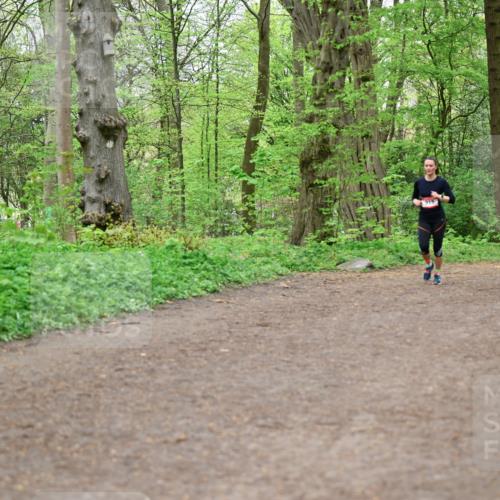 19.04.2026 - Hammer Lauf Dr. Thomas Lammeyer http://msf.ph/oto/9558397 19.04.2026 12:44:33 Laufen  meine-sportfotos.de