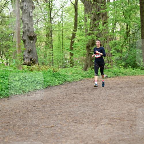 19.04.2026 - Hammer Lauf Dr. Thomas Lammeyer http://msf.ph/oto/9558401 19.04.2026 12:44:35 Laufen 915, 1137 meine-sportfotos.de
