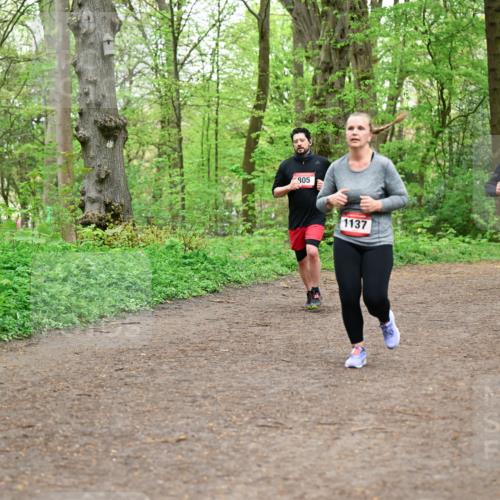 19.04.2026 - Hammer Lauf Dr. Thomas Lammeyer http://msf.ph/oto/9558437 19.04.2026 12:44:39 Laufen 805, 1137, 779 meine-sportfotos.de