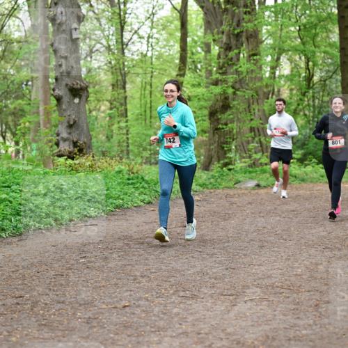19.04.2026 - Hammer Lauf Dr. Thomas Lammeyer http://msf.ph/oto/9558471 19.04.2026 12:44:50 Laufen 742, 801, 1646 meine-sportfotos.de