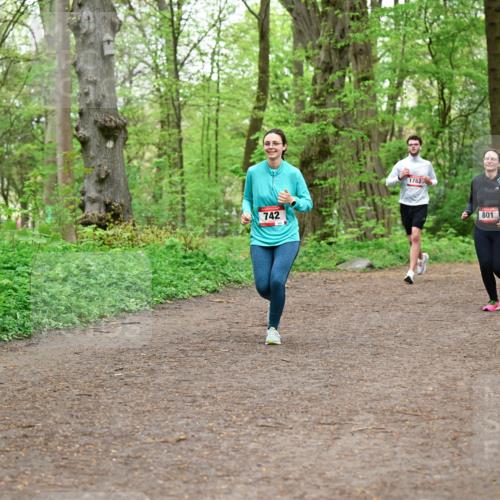 19.04.2026 - Hammer Lauf Dr. Thomas Lammeyer http://msf.ph/oto/9558473 19.04.2026 12:44:50 Laufen 742, 1782, 801, 1646 meine-sportfotos.de