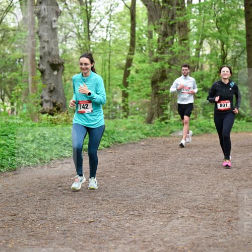 19.04.2026 - Hammer Lauf Dr. Thomas Lammeyer http://msf.ph/oto/9558477 19.04.2026 12:44:51 Laufen 742, 1782, 801, 1646 meine-sportfotos.de