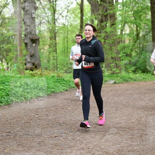 19.04.2026 - Hammer Lauf Dr. Thomas Lammeyer http://msf.ph/oto/9558491 19.04.2026 12:44:53 Laufen 801, 1646 meine-sportfotos.de