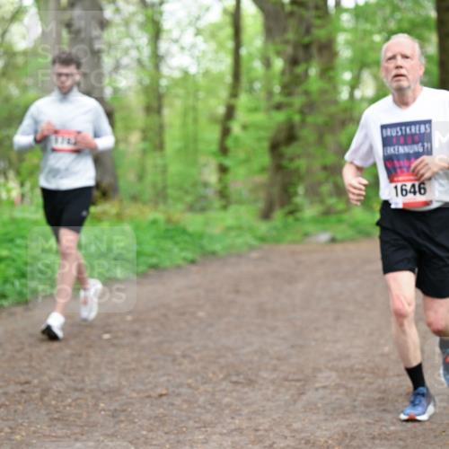 19.04.2026 - Hammer Lauf Dr. Thomas Lammeyer http://msf.ph/oto/9558500 19.04.2026 12:44:54 Laufen 1646 meine-sportfotos.de