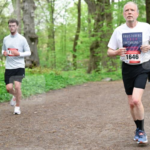 19.04.2026 - Hammer Lauf Dr. Thomas Lammeyer http://msf.ph/oto/9558501 19.04.2026 12:44:54 Laufen 1646, 320 meine-sportfotos.de