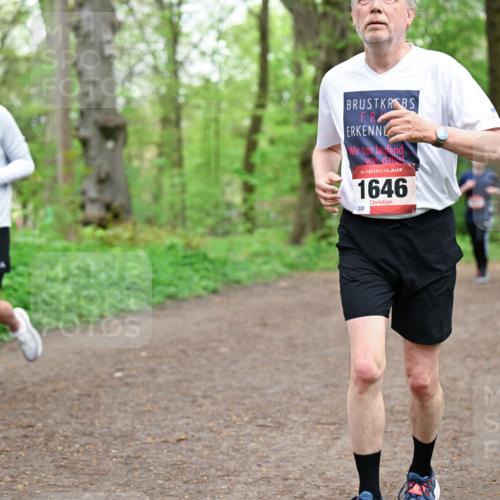 19.04.2026 - Hammer Lauf Dr. Thomas Lammeyer http://msf.ph/oto/9558503 19.04.2026 12:44:55 Laufen 179, 1646, 320 meine-sportfotos.de