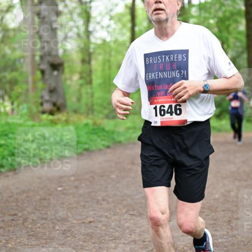 19.04.2026 - Hammer Lauf Dr. Thomas Lammeyer http://msf.ph/oto/9558504 19.04.2026 12:44:55 Laufen 1782, 1646, 320 meine-sportfotos.de