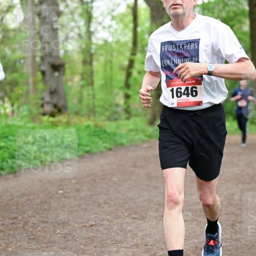 19.04.2026 - Hammer Lauf Dr. Thomas Lammeyer http://msf.ph/oto/9558506 19.04.2026 12:44:55 Laufen 1782, 1646, 320 meine-sportfotos.de