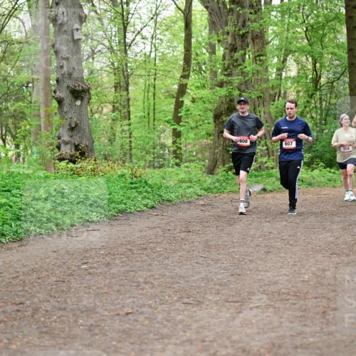 19.04.2026 - Hammer Lauf Dr. Thomas Lammeyer http://msf.ph/oto/9558513 19.04.2026 12:44:56 Laufen 608, 520, 607, 356 meine-sportfotos.de