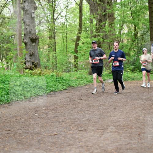 19.04.2026 - Hammer Lauf Dr. Thomas Lammeyer http://msf.ph/oto/9558516 19.04.2026 12:44:57 Laufen 608, 607, 356 meine-sportfotos.de