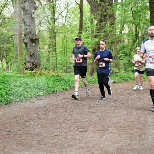 19.04.2026 - Hammer Lauf Dr. Thomas Lammeyer http://msf.ph/oto/9558520 19.04.2026 12:44:57 Laufen 608, 607, 356 meine-sportfotos.de