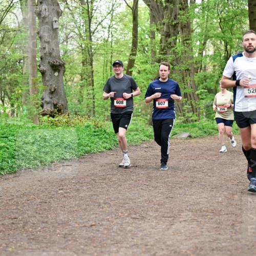 19.04.2026 - Hammer Lauf Dr. Thomas Lammeyer http://msf.ph/oto/9558523 19.04.2026 12:44:58 Laufen 608, 607, 356, 520 meine-sportfotos.de