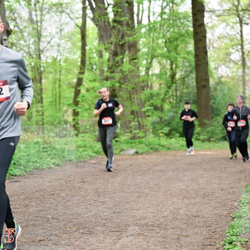 19.04.2026 - Hammer Lauf Dr. Thomas Lammeyer http://msf.ph/oto/9558658 19.04.2026 12:45:30 Laufen 292, 267 meine-sportfotos.de