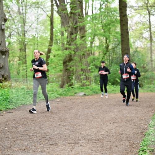 19.04.2026 - Hammer Lauf Dr. Thomas Lammeyer http://msf.ph/oto/9558665 19.04.2026 12:45:31 Laufen 267, 1726 meine-sportfotos.de