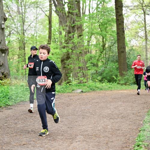 19.04.2026 - Hammer Lauf Dr. Thomas Lammeyer http://msf.ph/oto/9558692 19.04.2026 12:45:35 Laufen 662, 1833, 1162, 1158 meine-sportfotos.de
