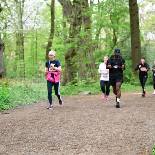 19.04.2026 - Hammer Lauf Dr. Thomas Lammeyer http://msf.ph/oto/9558717 19.04.2026 12:45:42 Laufen  meine-sportfotos.de