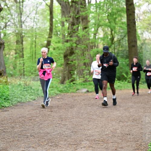 19.04.2026 - Hammer Lauf Dr. Thomas Lammeyer http://msf.ph/oto/9558719 19.04.2026 12:45:43 Laufen 1739 meine-sportfotos.de