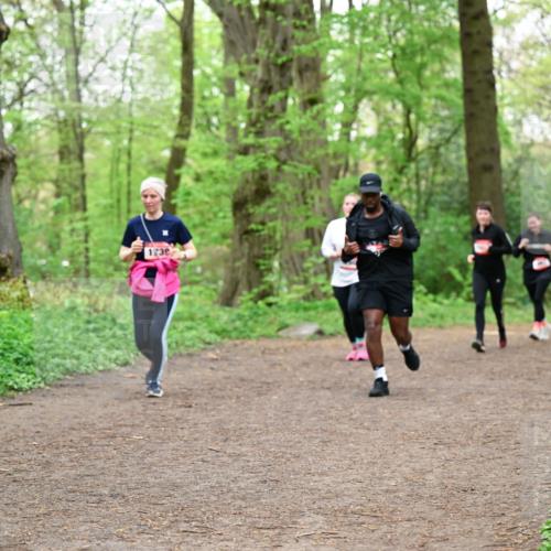 19.04.2026 - Hammer Lauf Dr. Thomas Lammeyer http://msf.ph/oto/9558720 19.04.2026 12:45:43 Laufen  meine-sportfotos.de