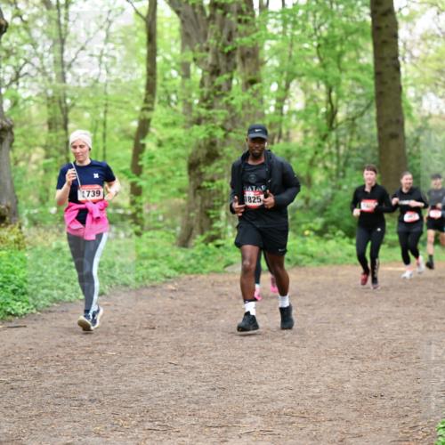 19.04.2026 - Hammer Lauf Dr. Thomas Lammeyer http://msf.ph/oto/9558722 19.04.2026 12:45:43 Laufen 1739, 1825 meine-sportfotos.de
