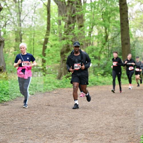 19.04.2026 - Hammer Lauf Dr. Thomas Lammeyer http://msf.ph/oto/9558725 19.04.2026 12:45:43 Laufen 1739, 1825 meine-sportfotos.de