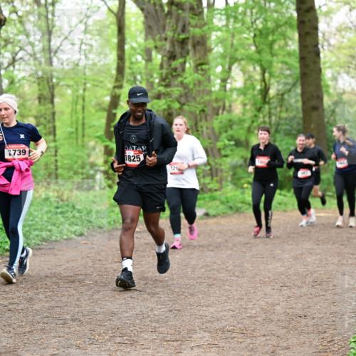 19.04.2026 - Hammer Lauf Dr. Thomas Lammeyer http://msf.ph/oto/9558728 19.04.2026 12:45:44 Laufen 739, 1825, 120 meine-sportfotos.de