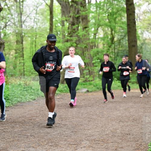 19.04.2026 - Hammer Lauf Dr. Thomas Lammeyer http://msf.ph/oto/9558731 19.04.2026 12:45:44 Laufen 139, 825, 1260, 304 meine-sportfotos.de