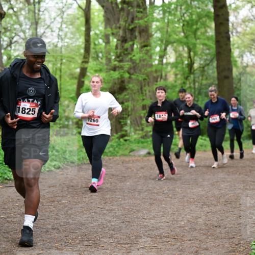 19.04.2026 - Hammer Lauf Dr. Thomas Lammeyer http://msf.ph/oto/9558735 19.04.2026 12:45:45 Laufen 281, 1825, 184, 1260 meine-sportfotos.de