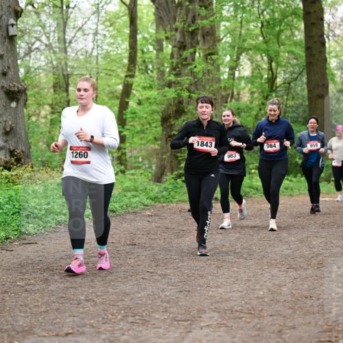 19.04.2026 - Hammer Lauf Dr. Thomas Lammeyer http://msf.ph/oto/9558740 19.04.2026 12:45:46 Laufen 1843, 983, 1260, 984, 959, 1025 meine-sportfotos.de