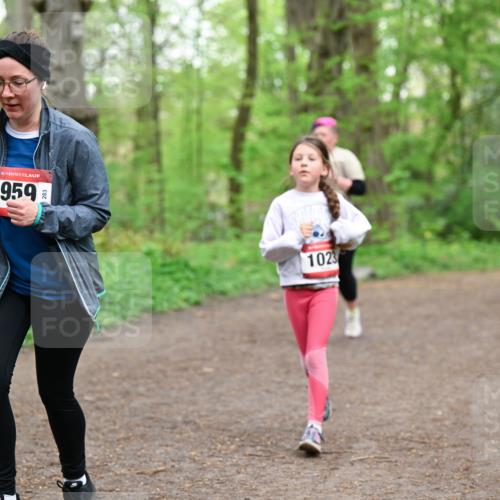 19.04.2026 - Hammer Lauf Dr. Thomas Lammeyer http://msf.ph/oto/9558769 19.04.2026 12:45:51 Laufen 959, 1023 meine-sportfotos.de