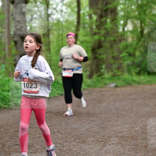 19.04.2026 - Hammer Lauf Dr. Thomas Lammeyer http://msf.ph/oto/9558770 19.04.2026 12:45:52 Laufen 1023 meine-sportfotos.de
