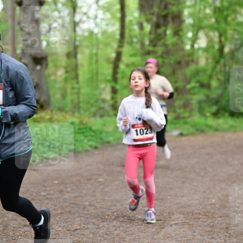 19.04.2026 - Hammer Lauf Dr. Thomas Lammeyer http://msf.ph/oto/9558771 19.04.2026 12:45:51 Laufen 959, 1023 meine-sportfotos.de