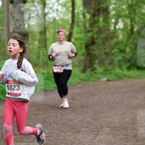 19.04.2026 - Hammer Lauf Dr. Thomas Lammeyer http://msf.ph/oto/9558772 19.04.2026 12:45:52 Laufen 1023 meine-sportfotos.de