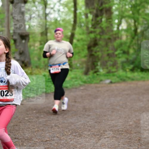 19.04.2026 - Hammer Lauf Dr. Thomas Lammeyer http://msf.ph/oto/9558773 19.04.2026 12:45:52 Laufen 1023 meine-sportfotos.de