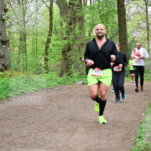 19.04.2026 - Hammer Lauf Dr. Thomas Lammeyer http://msf.ph/oto/9558814 19.04.2026 12:46:04 Laufen 1163, 1252, 1209, 185 meine-sportfotos.de