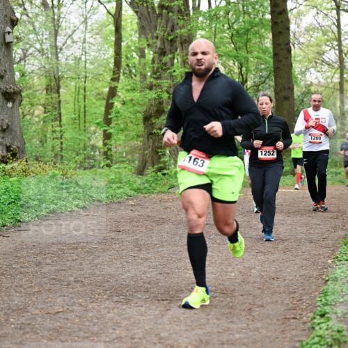 19.04.2026 - Hammer Lauf Dr. Thomas Lammeyer http://msf.ph/oto/9558816 19.04.2026 12:46:05 Laufen 163, 1252, 1209 meine-sportfotos.de