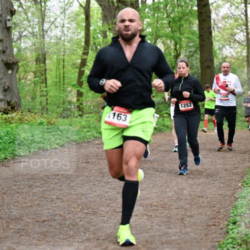 19.04.2026 - Hammer Lauf Dr. Thomas Lammeyer http://msf.ph/oto/9558817 19.04.2026 12:46:05 Laufen 163, 1252, 1209 meine-sportfotos.de