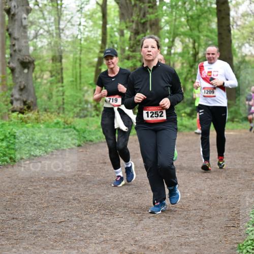 19.04.2026 - Hammer Lauf Dr. Thomas Lammeyer http://msf.ph/oto/9558826 19.04.2026 12:46:07 Laufen 719, 1252, 1209 meine-sportfotos.de