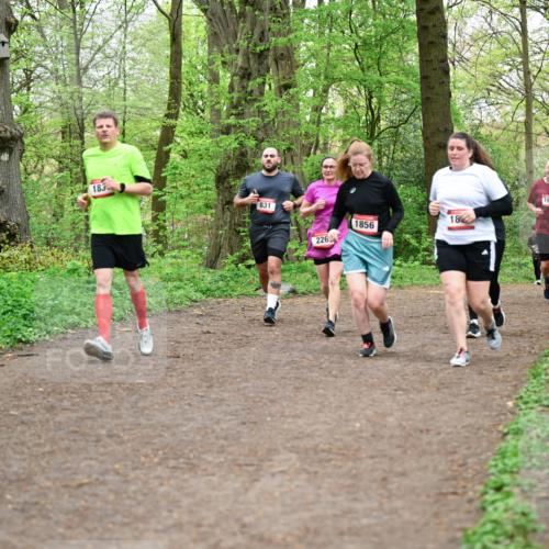 19.04.2026 - Hammer Lauf Dr. Thomas Lammeyer http://msf.ph/oto/9558847 19.04.2026 12:46:11 Laufen 183, 831, 226, 1840, 1856 meine-sportfotos.de